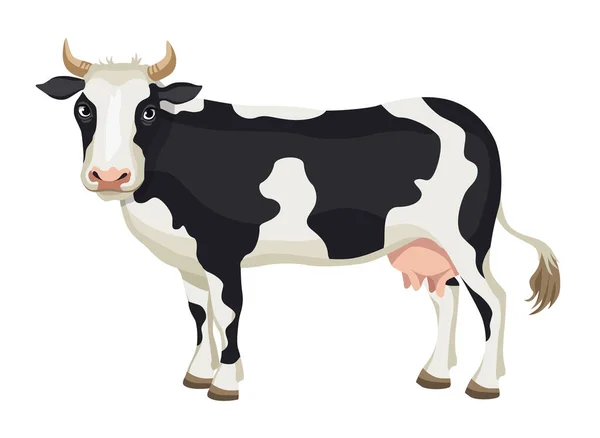 Διάνυσμα Καρτούν Μαύρο Και Άσπρο Αγελάδα Απομονώνονται Λευκό Φόντο Γαλακτοκομικά — Διανυσματικό Αρχείο