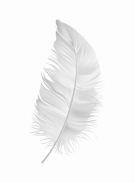Vector White Fluffy Feather Isolated White Background — Stock Vector