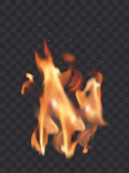 Illustration Transparente Vectorielle Réaliste Des Flammes Feu Brûlantes — Image vectorielle