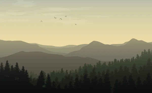 Morgenlandschaft Mit Nebligen Silhouetten Von Bergen Und Hügeln Wald Mit — Stockvektor