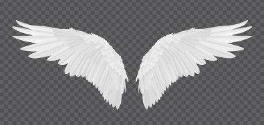 Şeffaf arkaplanda izole edilmiş gerçekçi melek kanatları