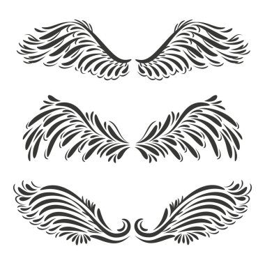 Üç vektör dekoratif melek veya kuş kanadı dizaynı - illüstrasyon veya tatto tasarımı