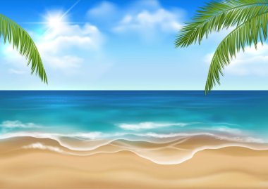 Güneşli kumlu kumlu bir sahil, cennet manzaralı, mavi gökyüzü güneşli, bulutlu ve yeşil palmiye yapraklı.