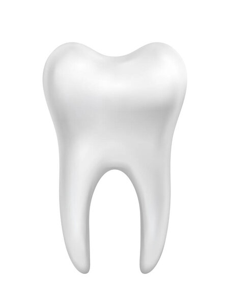 Векторный белый красивый блестящий зуб иллюстрация изолированы на белом фоне