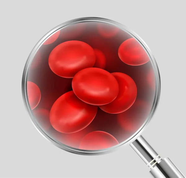 Illustrazione Realistica Vettoriale Delle Cellule Del Sangue Sotto Lente Ingrandimento — Vettoriale Stock