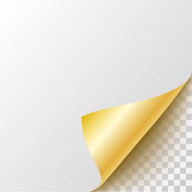 Metin için saydam arkaplan ve boşluk içeren altın kıvrımlı vektör köşesi