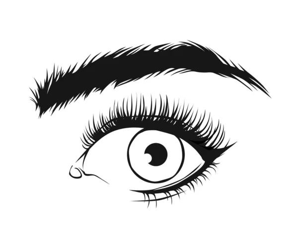 用眼线笔和长长的睫毛在白色背景上绘制美丽女人的眼睛的矢量黑色画图 — 图库矢量图片