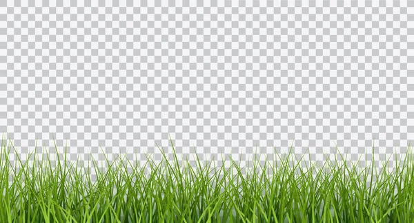 Vector Bright Green Realistic Seamless Grass Border Isolated Transparent Background — Vetor de Stock