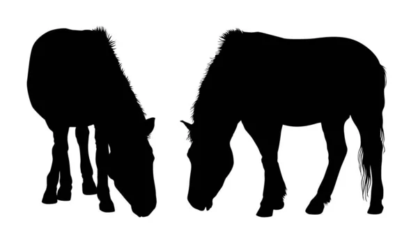 Beyaz Arka Planda Izole Edilmiş Duran Atların Siyah Vektör Siluetleri — Stok Vektör