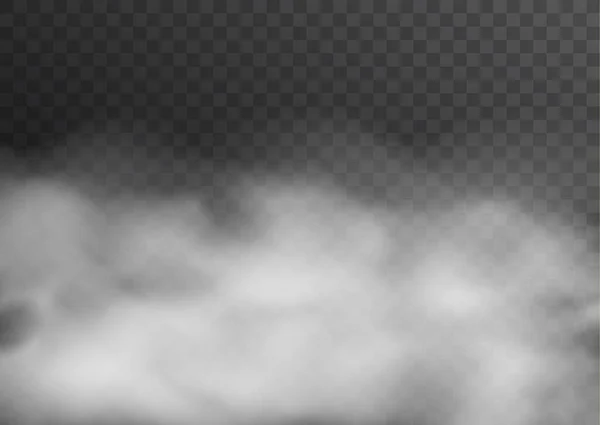 暗い背景に隔離されたベクトル現実的な煙 霧または霧の透明効果 — ストックベクタ
