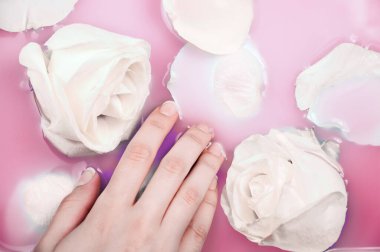 Beyaz güller ve pembe sütlü suyla kaplanmış taç yapraklarıyla bir kadının elini kapat - güzellik tedavisi, spa, rahatlama, romantik konsept