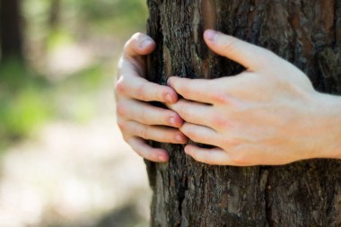 Arka planda bulanık orman olan ağacı kucaklayan bir adamın ellerini kapat - çevre koruma kavramı