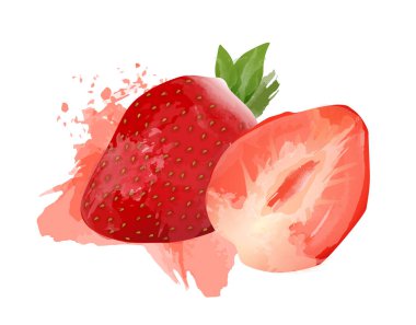Beyaz arkaplanda izole edilmiş suluboya efektli vektör çilek illüstrasyonu