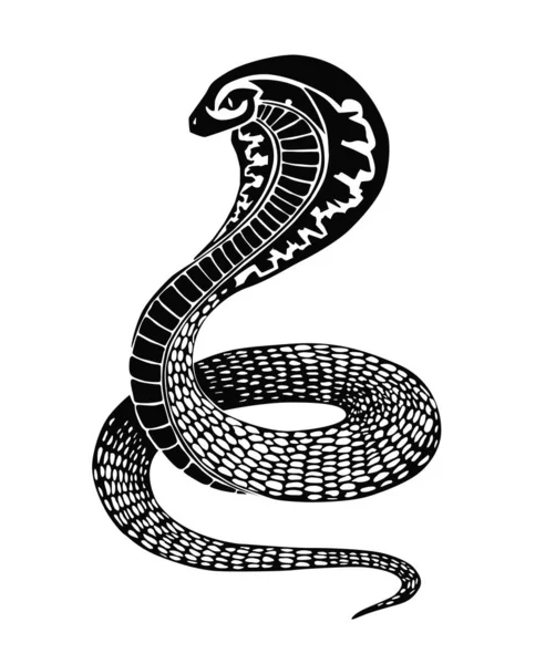 Fekete Kígyó Illusztráció Vagy Tetoválás Design Elszigetelt Fehér Háttér — Stock Vector