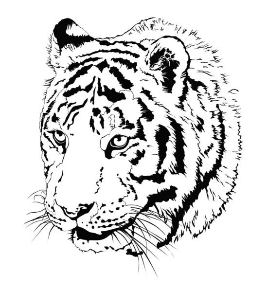 Vector Negro Ilustración Realista Cabeza Del Tigre Aislado Sobre Fondo — Archivo Imágenes Vectoriales