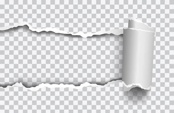 Διάνυσμα Ρεαλιστικό Σχισμένο Χαρτί Rolled Άκρη Διαφανές Φόντο — Διανυσματικό Αρχείο