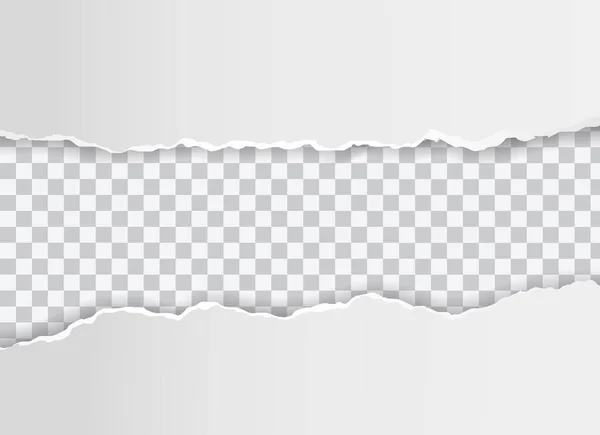 透明背景の紙シートのベクトル現実的な穴 — ストックベクタ