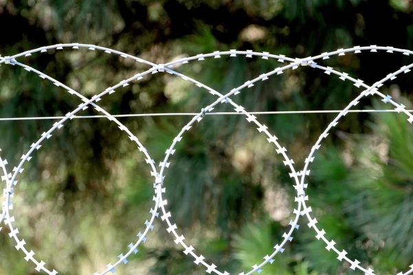 Колючая проволока, колючая ограда — стоковое фото