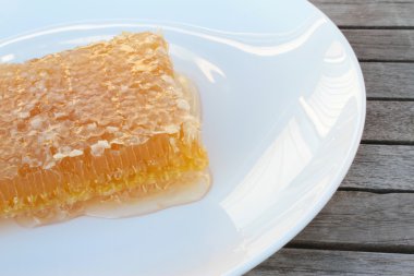 Bal Tarağı