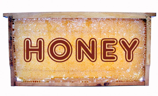 " Honig "Text auf Wabe — Stockfoto