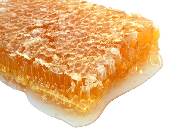 Läckra honeycomb — Stockfoto