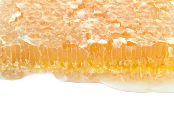 Delicioso panal de abeja — Foto de Stock
