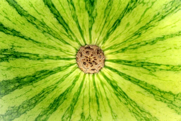 Textura de melancia — Fotografia de Stock