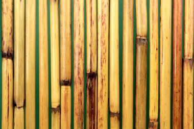 doğal bambu