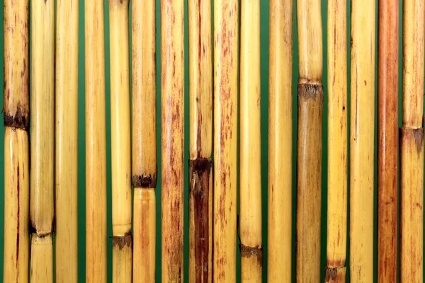 Bambu natural — Fotografia de Stock