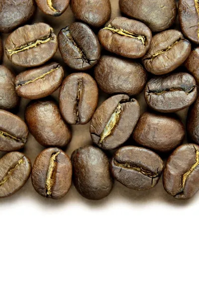 Coffee beans — Stock Photo, Image