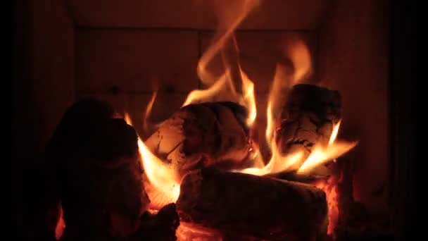 Wood burning — Stock Video