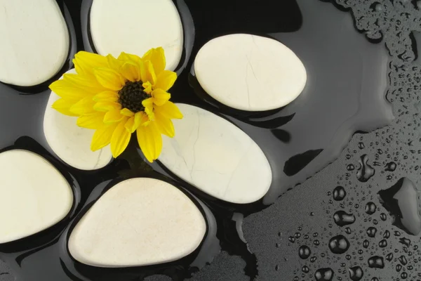 Yellow flower and white stones with water — Stock Photo, Image