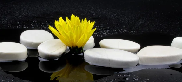 Yellow flower and white stones with water — Stock Photo, Image