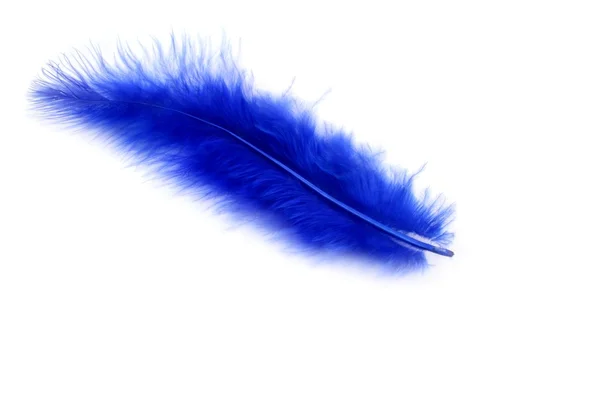 Blue feather — Stock Photo, Image