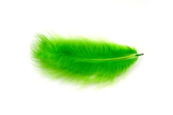 Green feather — Stock Photo, Image