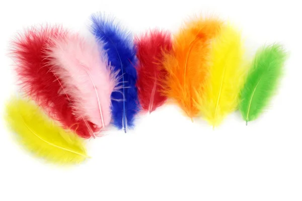 Colorful feathers — Stock Photo, Image