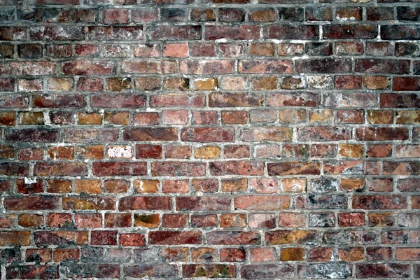 Old brick wall texture — Stock Photo, Image