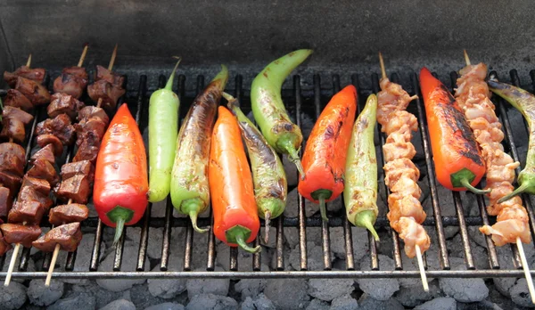 Grillen. — Stockfoto