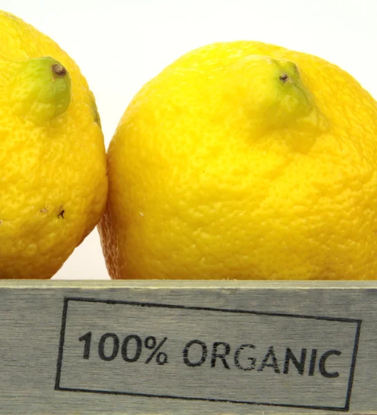 Ekologisk citron — Stockfoto