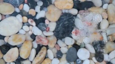 çakıl taşları ile deniz yıldızı ve deniz kabuğu üzerinde çeşme plash