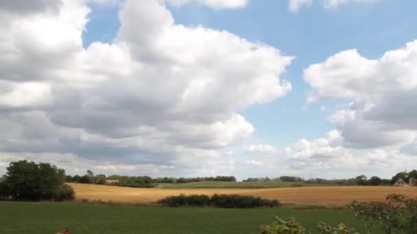 Campos verdes y nubes de movimiento rápido — Vídeos de Stock