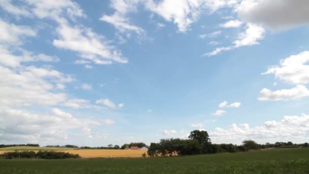 Campos verdes y nubes de movimiento rápido — Vídeos de Stock