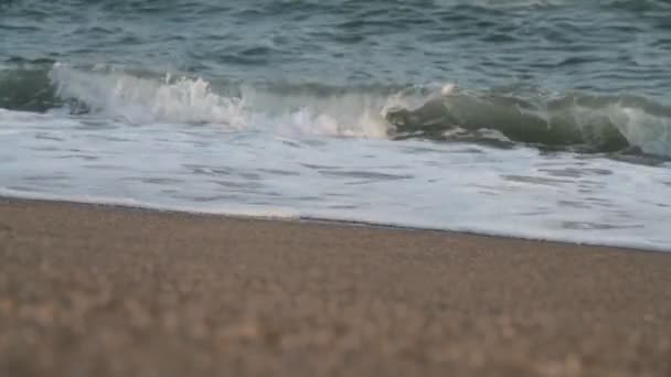 plage et vague de mer .