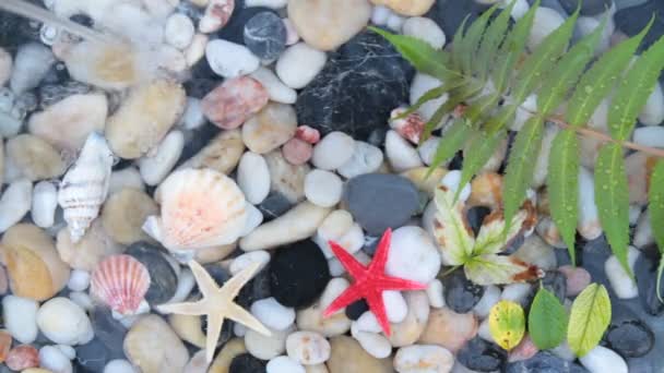 Падение фонтана на камешки с морской звездой и раковиной — стоковое видео