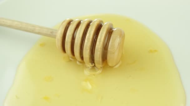 Gocciolamento di miele da paletta di legno — Video Stock