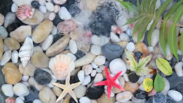 Fontaine plash sur galets avec étoile de mer et coquillage — Video