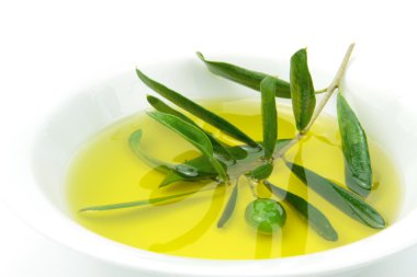 Organik zeytinyağı ve yeşil zeytin dalı