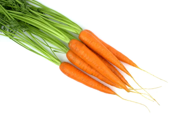 Zanahorias orgánicas frescas — Foto de Stock