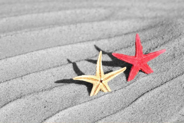 在沙滩上的海星 — 图库照片