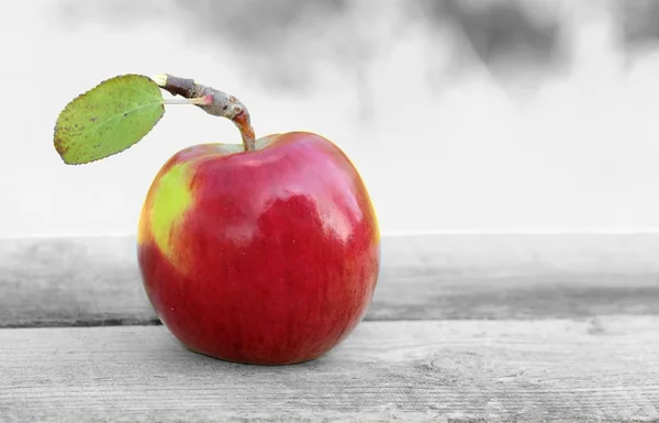 Κόκκινο φρέσκο βιολογικό μήλο — Φωτογραφία Αρχείου